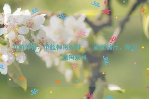 九游體育：中超悍將張琳芃，砥礪前行，捍衛祖國榮譽